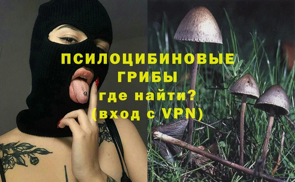 дживик Балахна