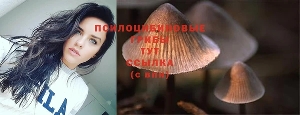 spice Балабаново
