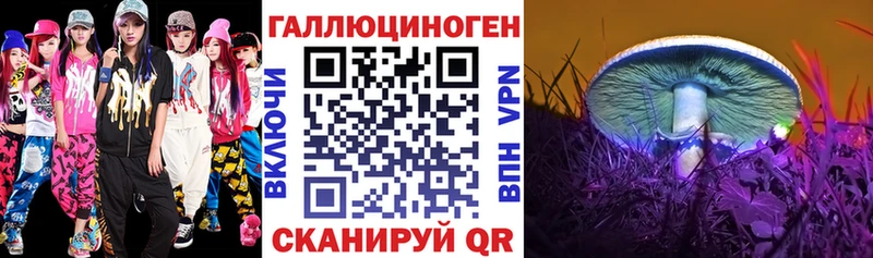 наркотики  Бобров  Псилоцибиновые грибы GOLDEN TEACHER 