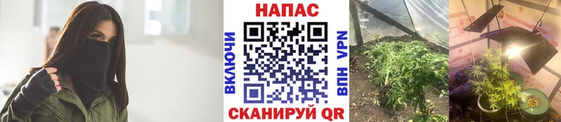 Марихуана планчик Бобров